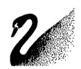 Swarovski Logo: Swan Swarovski Logo: Swan